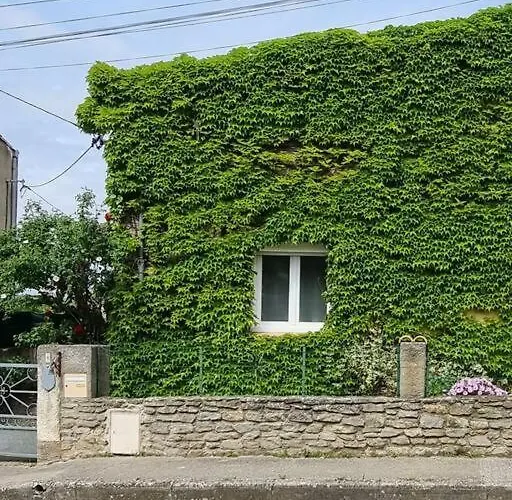 Maison Ideale Pour Une Famille
